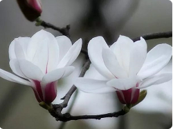 16岁少年泣血忏悔：邪淫毁我半生，佛法终得救赎（附本人真实对比图片）-图片5