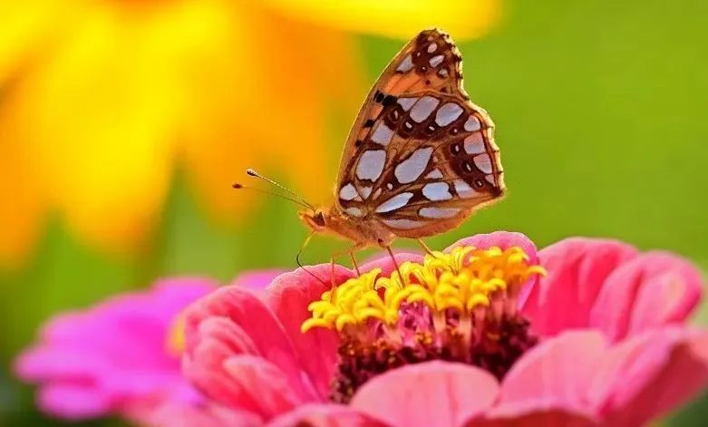 自我毁灭与自救他救之路——来自21岁小伙的自述【附本人变化对比】-图片1