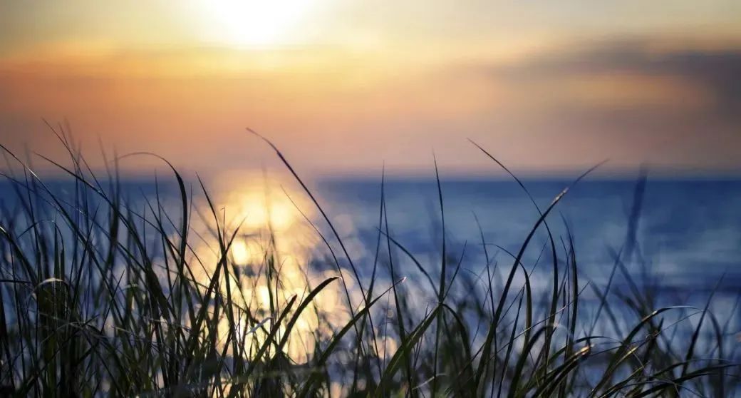 戒为良药 第134季：沉迷游戏的不良影响