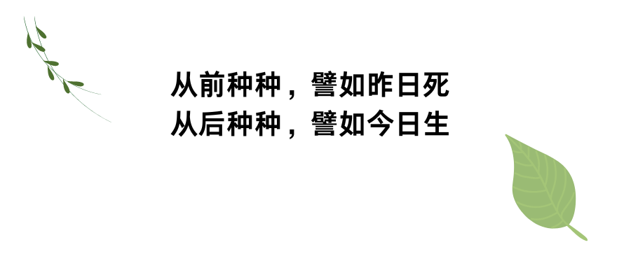 自我毁灭与自救他救之路——来自21岁小伙的自述【附本人变化对比】-图片9