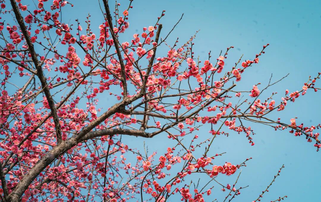非必要不上网——浅谈手机使用与戒除贪淫的关系-图片4