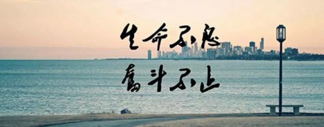 屌丝逆袭之路-图片9