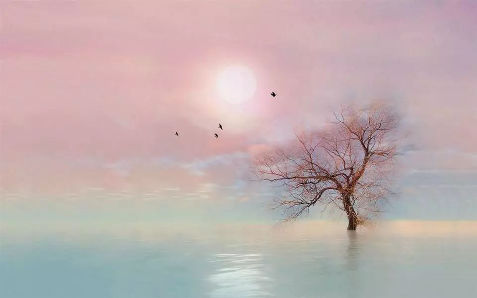 戒为良药 第136季：俞净意公给我们的启示