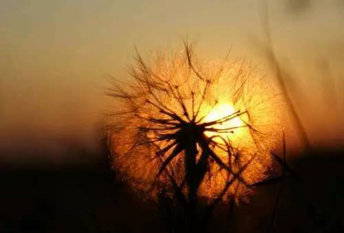 戒为良药 第139季:戒色高手之路提高篇