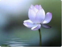 阴德厚重的人,往往会有这五大特征,你身上有吗?