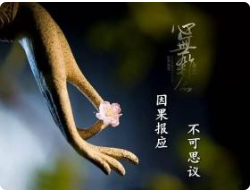 太上感应篇之实行