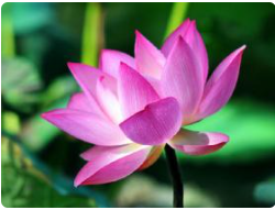 太上感应篇的性质