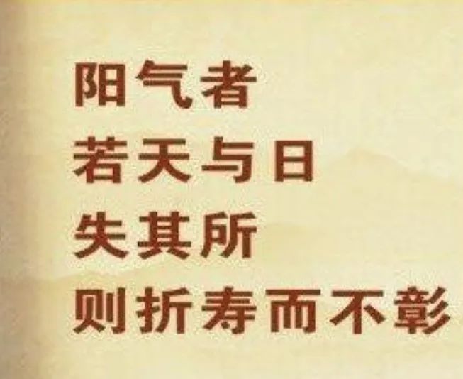 揭秘:晒太阳与长寿的关系-图片3