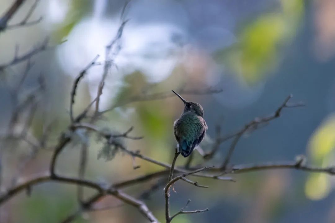 修善积德才能改命，来看看古人积阴德的事迹-图片8