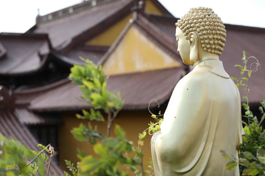 真心孝顺父母，就是天地的光辉-图片3